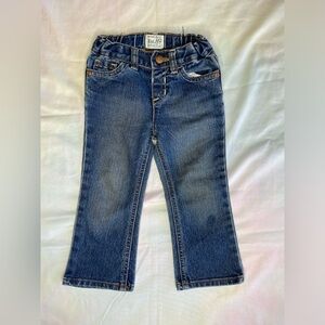 Baby Girls Bootcut Jeans